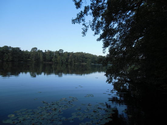 Malerische Teiche rund ums Gut Dankow mit glasklarem Wasser, nur zum Baden ist es schon etwas kühl und problemlos käme man auch nicht rein und wieder raus.