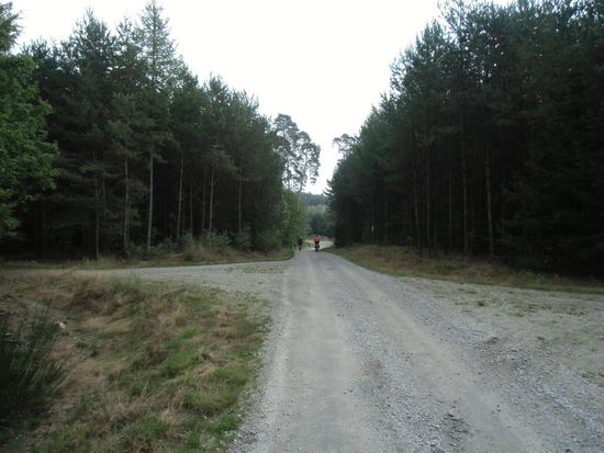 Ohne Wegweiser ist schon ein Navi zweckmäßig