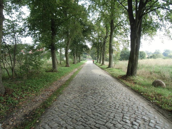 Alte Pflasterwege, wie es sie nur noch im Pommern gibt