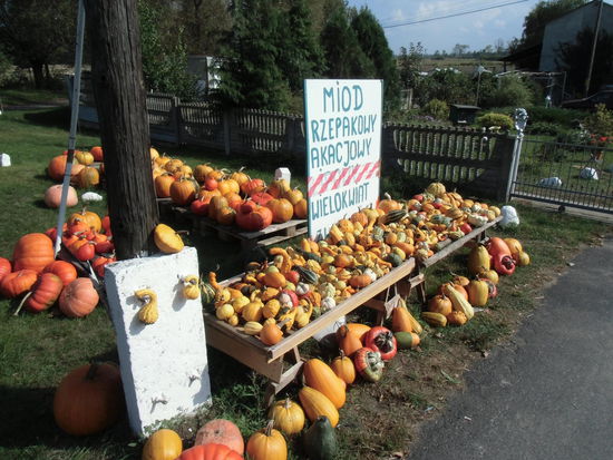 Die Ernte wird am Weg feilgeboten, nur mit dem Rad können wir nichts mitnehmen.