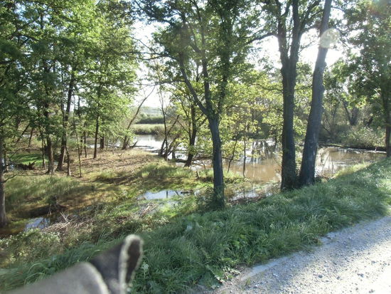 Natur pur, nur Abweichen vom Weg geht nun nicht mehr
