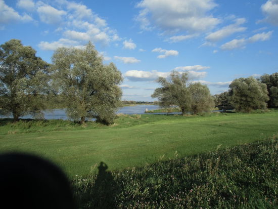 Der unspektakuläre Zusammenfluß von Oder und Neiße in einem  breiten Überschwemmungsgebiet. Dennoch war 1997 hier das Oderhochwasser zu einer ganz großen Bedrohung geworden.