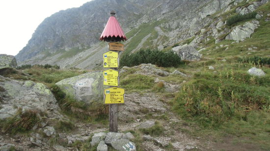 Die Passhöhe mit 1719 m ü.M ist ereicht, jetzt könnte es aufklaren. Windstill ist es, aber Wolken und Nebel bewegen sich auch nicht