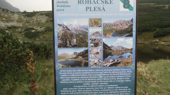 Immerhin können wir die Bilder auf den Schildern am Weg mit der echten Natur vergleichen. Gut, dass es trocken bleibt.