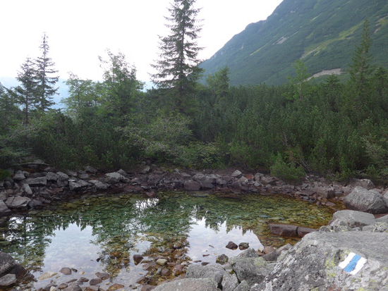 Im kleinsten Hochgebirge der Welt sind auch die Gletschseen winzig, aber dennoch zahlreich.
