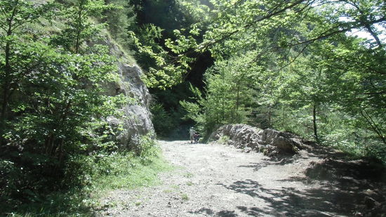 Gut, dass der Weg breit genug ist, irgendwo findet man zwischen den Steinen eine Gasse zum Durchfahren, im Schneckentempo, versteht sich !