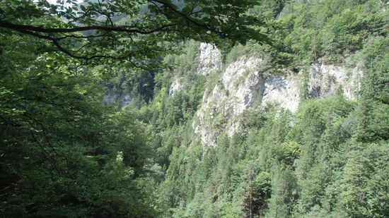 So schroff können nur Kalkfelsen sein, die die Erosion seit Urzeiten so geformt hat.