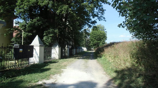 Das Schönste an diesem Pfad: Er spendet Schatten !