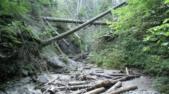 Einbahn-Wanderweg. In der Schlucht Sucha Bela darf man nur den Weg bergauf gehen, wer die erste Stiege betritt, darf nicht mehr zurück. Warum, das sehen wir gleich