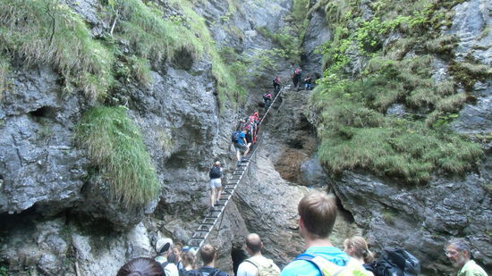 Bei so viel Andrang gibt es schon mal Staus, Gegenverkehr darf da nicht zugelassen werden !