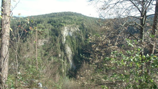 Die Bäume haben wegen der Trockenheit das grüne Laub abgeworfen, noch schonungsloser scheint uns die Sonne am Südwesthang auf Kopf und Schultern!