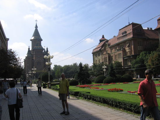 Im Zentrum von Temisoara