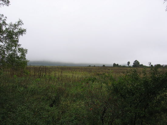 Novemberstimmung in der Hochebene in Bulgarien.....