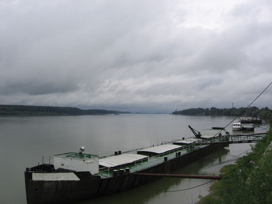 Blick auf die Donau, deren Wasserstand selbst hier, 120 km vor der Mündung, noch um über 12 Meter schwanken kann