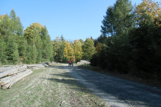 wechseln mit Strecken ab, auf denen lose Steine liegen und bei denen man auf Gefällestecken mit höchster Aufmerksamkeit radeln muß.
