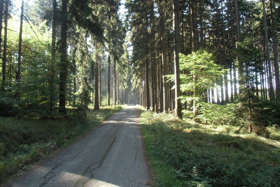 Jeden Radweg haben wir ganz für uns allein! Und nun ist es auch im Schatten angenehm warm.