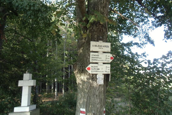 Am weißen Kreuz - nach der Karte eine markante Radwegkreuzung