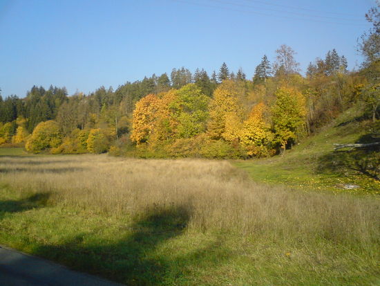 An den herrlichen Herbstfarben können wir uns kaum satt sehen !