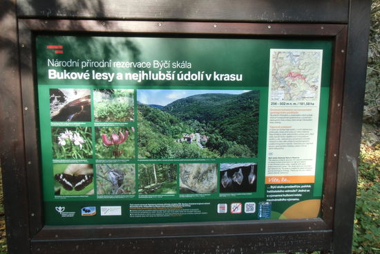 und erläutern die einzigartige Fauna und Flora ds Mährischen Karstes.
