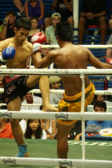 Muay Thai Boxing
