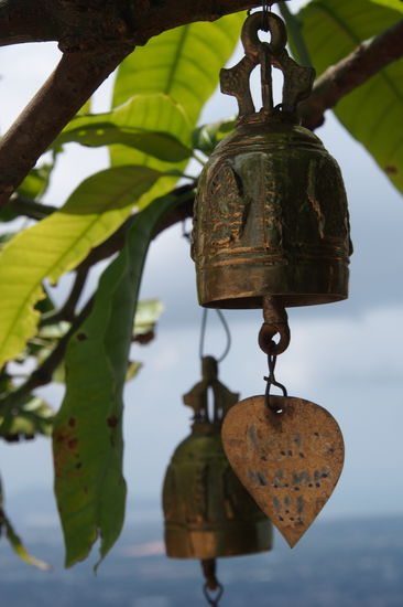 hier haengen jede Menge solcher Glocken in den Baeumen