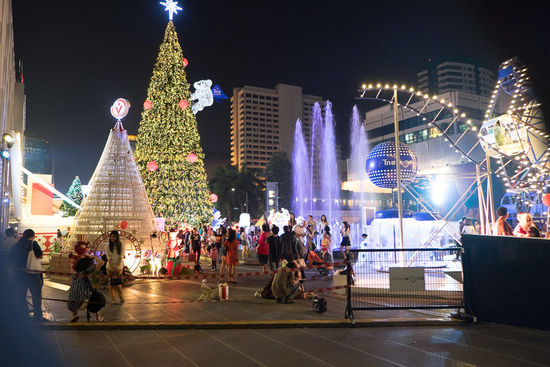 der weihnachtliche Markt