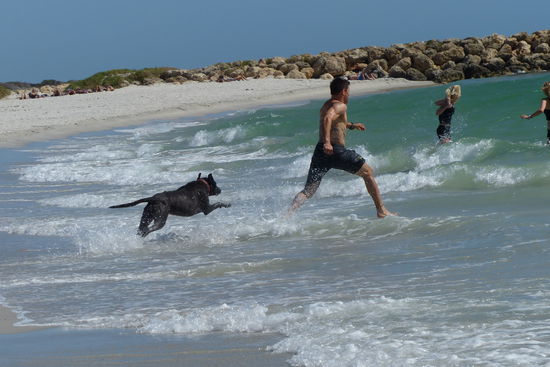 am strand , tja ines lady ist das nicht. weil er wollte ueberhaupt nicht ins wasser