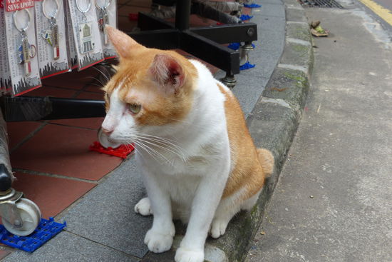 ines,    fuer dich. die war ganz gluecklich, glaub mir