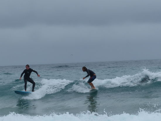 die benutzen hier irgendwie alle kein segel, diese bequemen aussis am bondi beach an einem montag mittag