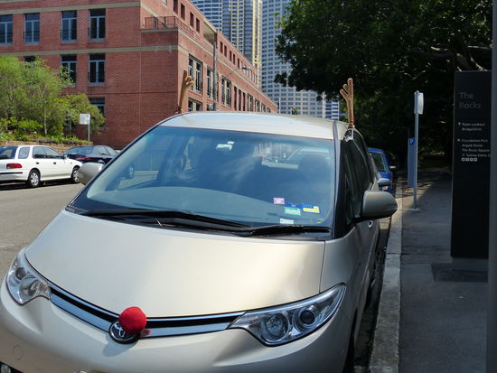 vorweihnachtsstimmung , rudolph laesst gruessen