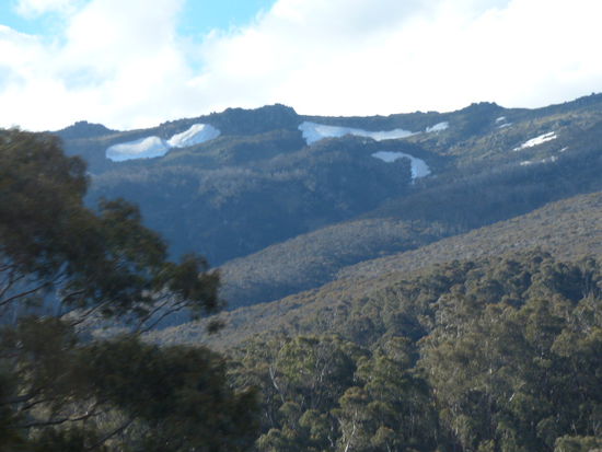 restschnee in den snowy mountains
