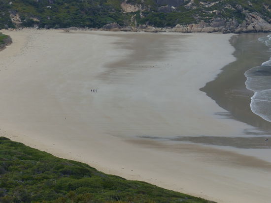 squizy beach auf der fahrt nach lake entrance, in der mitte des bildes vier teilnehemer unserer reisegruppe. wir haben noch nie so einen breiten strand gesehen. es war einfach unglaublich