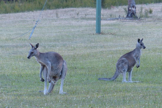da schaut nen baby raus....