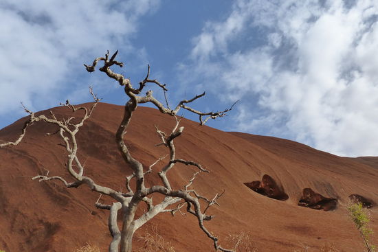 ohne worte, aber bei der umwanderung des ayers rock ( ca 10 km ) entdeckt
