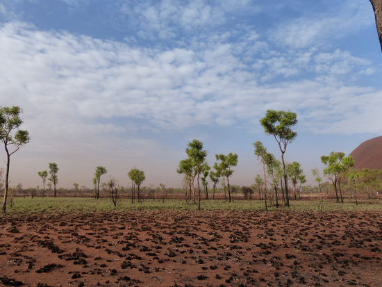 endloses outback am ayers rock... so eine weite
