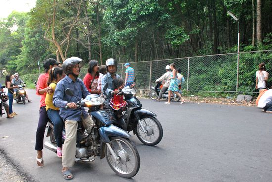direkt hinter dem zaun beginnt der lebensraum der affen