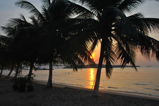 direkt vor unserem bungalow, hier haben wir pizza mit rotwein genossen...hmmmmm