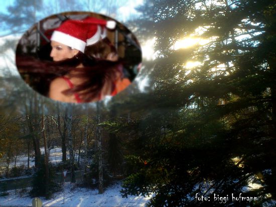 vorfreude: weihnachtsmütze gegen sonnenhut / tannen gegen palmen