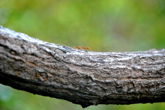 und trotz der menschenmassen, übersehen wir manche kleinigkeiten nicht 