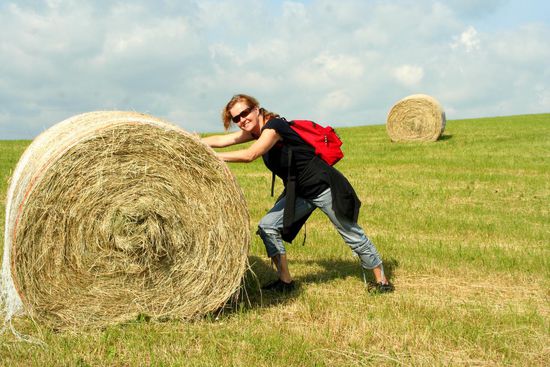 zu diesem Zeitpunkt war S. noch nicht ausgelastet...