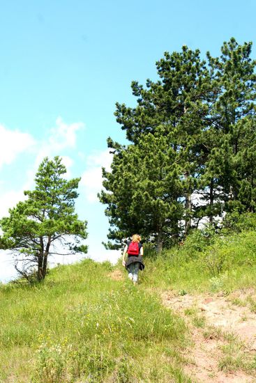 mal wieder nach oben...