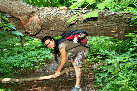 und manchmal auch nach unten 