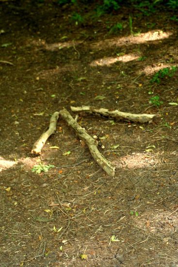 vielleicht hätten wir dieses Zeichen doch nicht für den richtigen Wegweiser halten sollen 