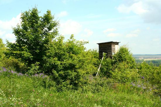 und hier gab es dann nirgends mehr Wanderhinweise...