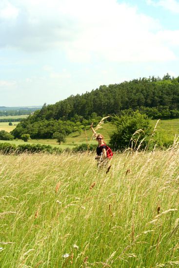 ... also ab, durch's hüfthohe Gras