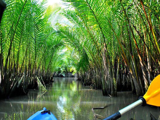 NICHT Disney-World - REAL WORLD