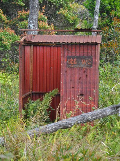 nun ja, die Natur hat sich den Weg zum WC mittlerweile erobert!