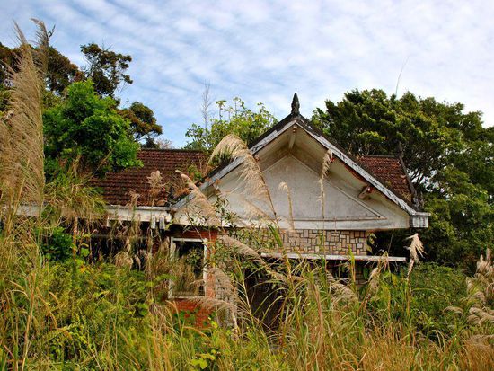 und nicht nur das WC - alle Gebäude wachsen mehr und mehr zu...