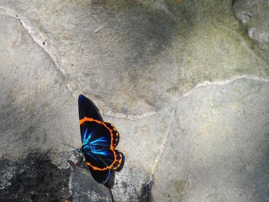 wunderschön - oberhalb vom Wasserfall