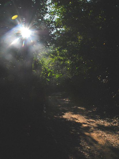 zunächst angenehm schattig